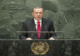 صحيفة تركية: أردوغان أفسد محاولات أنقرة لتطبيع العلاقات مع القاهرة