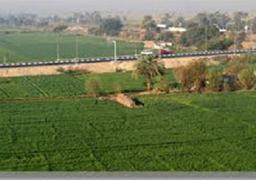 لقاء مع العميد الأسبق لكلية الزراعة علي الشبكة الثقافية يوم السبت 6 سبتمبر