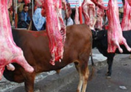 محافظة القاهرة: 120 منفذا لبيع اللحوم الطازجة بسعر 43 جنيها للمستوردة و35 للسودانية