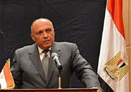 مصر تشارك في اجتماع وزراء خارجية شراكة دوفيل