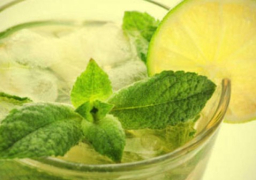 وصفة الشراب الفرنسي السريع الساد للشهية الحارق لشحوم البطن