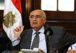 “الزراعة”: إنشاء صندوق مخاطر لمواجهة أمراض الدواجن