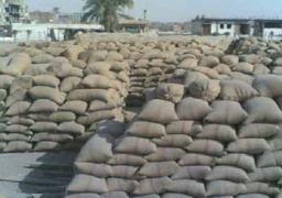 الهيئة الهندسية بالقوات المسلحة تطور 3 شون بالفيوم