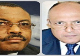 شكري يبحث مع نظيره الإثيوبي تطورات العلاقات الثنائية بين البلدين