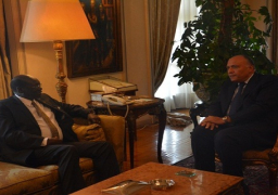 شكري يستعرض مع نظيره السوداني المفاوضات الجارية بين الحكومة والمعارضة في الجنوب