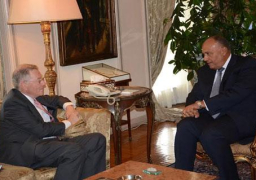 شكري يستقبل “روبرت سري” ويشدد على أهمية استئناف مفاوضات السلام الإسرائيلية الفلسطينية