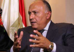 القاهرة تطلب دعم الصين لترشحها لعضوية مجلس الأمن