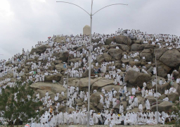 الرئيس التنفيذي لبعثة الحج: ارتفاع الوفيات بين صفوف الحجاج المصريين إلى 15 متوفيا