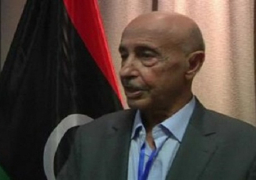 ليبيا تنفي مشاركة أي طائرة مصرية في الاشتباكات الدائرة ببنغازي