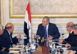 الاستجابة لمطالب أسر الشهداء واستعراض مشروع تطوير القرى.. ننشر تفاصيل اجتماع المحافظين برئاسة محلب