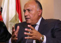 مصر والجزائر يدشنان إنطلاقة جديدة للتعاون بين البلدين