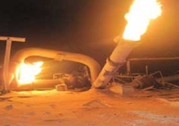 مقتل شخص وإصابة 11 في انفجار أنبوب غاز غربي ألمانيا