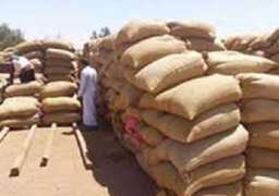 ميناء سفاجا يستقبل سفينة بضائع على متنها 63 ألف طن قمح فرنسي