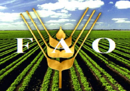 “الفاو”: 33 مليون شخص بالدول العربية لا يجدون غذاء
