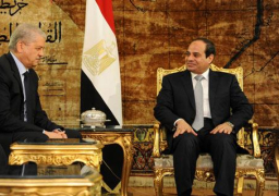 السيسي لرئيس حكومة الجزائر: عامل الوقت مهم بالنسبة لحل أزمة ليبيا.. والتأخير يؤدي إلى عواقب وخيمة