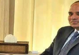 السيسي يجري حوارا مع قناة تليفزيونية فرنسية وجريدة إيطالية