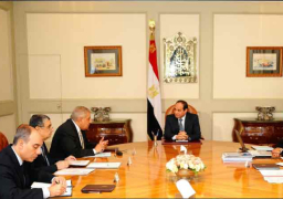 السيسي يبحث سبل التحرك لضمان انتظام خدمة الكهرباء وتنويع مصادر الطاقة