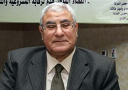 المحكمة الدستورية برئاسة عدلي منصور تقضي ببطلان منع القضاة من استعمال الرأفة