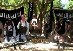 أنصار “بيت المقدس” فى مصر تبايع داعش