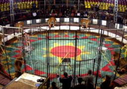 رئيس البيت الفني للفنون يتفقد سيرك 15 مايو لإقامة عروضه بالمدينة