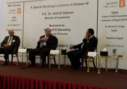 سالمان: قطاع النفط في سيناء جاذب للاستثمار رغم الحوادث الارهابية