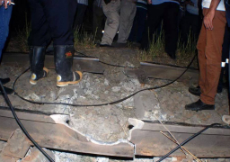 انفجار عبوة ناسفة في مزلقان للسكة الحديد بالشرقية