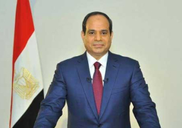 السيسي يتسلم أوراق اعتماد سفراء جدد لسبع دول