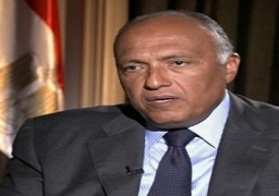 مصر تتمسك بعقد مؤتمر إخلاء المنطقة من أسلحة الدمار