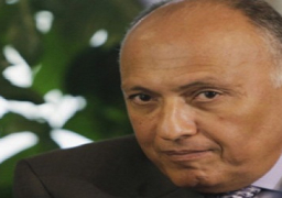 وزير الخارجية يستقبل نظيريه الليبي والموريتاني