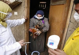 الصحة: ارتفاع الاصابة بانفلونزا الطيورلـ 18 حالة بعد اصابة سيدة باسيوط