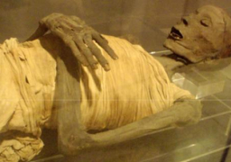 مدير آثار أسوان: بعثة أمريكا الموقوفة بها عالم يدعي أن الفراعنة ليسوا مصريين ويحاضر بتل أبيب