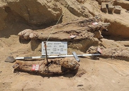 إكتشاف أكبر مقبرة في التاريخ في محافظة الفيوم