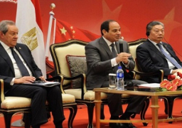 السيسي: الأولوية الحالية هي تثيب أركان الدولة المصرية