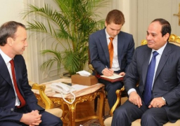 السيسي يلتقي نائب رئيس وزراء روسيا و يؤكد على عمق العلاقات بين البلدين