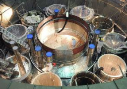 شاكر: مصر جادة جدا في تنفيذ برنامجها النووي لإنتاج الطاقة