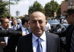 تركيا: تدريب مقاتلي المعارضة السورية قد يبدأ قبل مارس