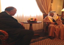 رئيس وزراء البحرين يشيد بتقدم مصر فى استعادة الامن و هزيمة الارهاب