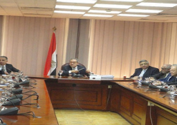 عبد النور: زيارة االسيسى للصين فرصة لتنمية العلاقات التجارية وإقامة مشروعات مشتركة