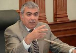 محافظ الإسكندرية: حكومة محلب تعمل على تحقيق الاستقرار الاقتصادي