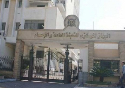 الإحصاء: 7% ارتفاعًا في قيمة الصادرات المصرية خلال عام 2013