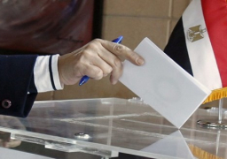 الاتحاد الأفريقي يعلن رغبته في متابعة الانتخابات البرلمانية المقبلة بمصر