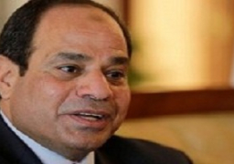 السيسي يلتقي وزيري الزراعة والري لمتابعة المشروعات القومية