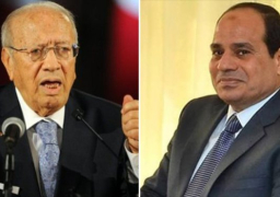 السيسي يوجه دعوة لنظيره التونسي الباجي قائد السبسي لزيارة مصر