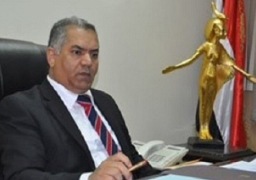 رئيس الوزراء اليابانى فى زيارة للمتحف المصرى والأهرامات