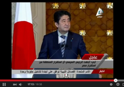 اليابان: سندعم كهرباء مصر بـ 300 مليون دولار