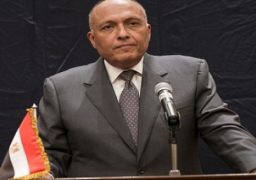 شكري يرأس وفد مصر خلال القمة الإفريقية بعد قرار السيسى بقطع زيارته إلى إثيوبيا