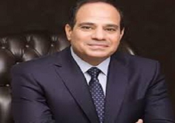 على هامش القمة..السيسي يجري مباحثات مع رئيس وزراء السويد