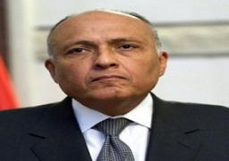 نائب رئيس كينيا لـ«شكري»: لن نقبل الإضرار بمصالحكم