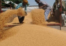 وزير التموين: مخزون القمح يكفي حتى أوائل مايو