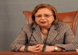 الأهوانى: المؤتمر الاقتصادى يمنح المستثمرين الأمل للاستثمار فى مصر